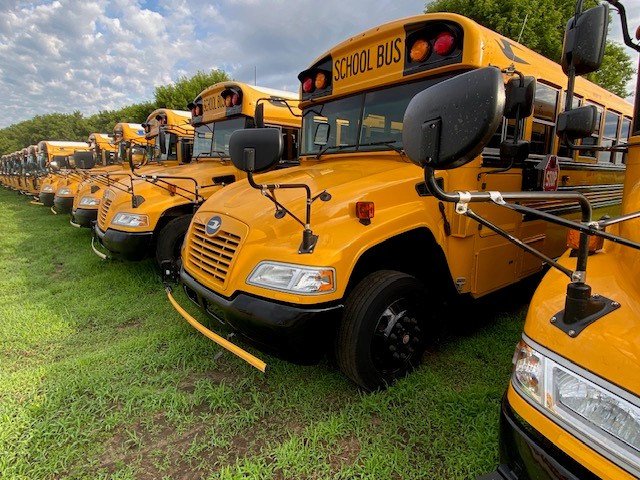 buses