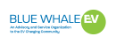Blue Whale